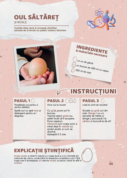 Experimente și descoperiri istețe. Rețete simple de explorare și fișe de reflecție - Iulia-Elena Călin